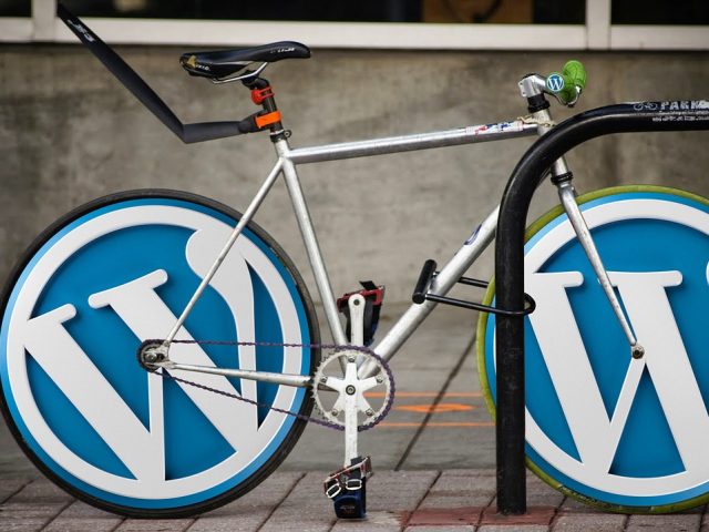 Jak dodać plik ads.txt na platformie WordPress?